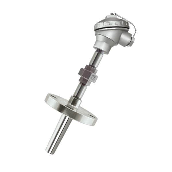 Mineral insulated RTD sensor with thermowell