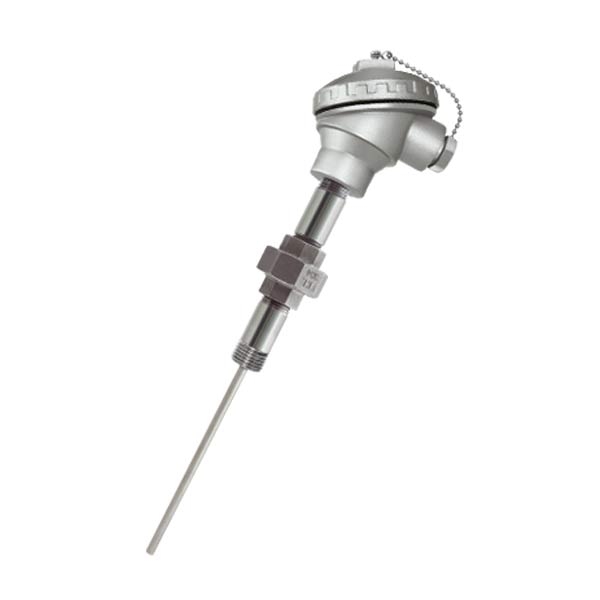 Mineral insulated RTD sensor with thermowell
